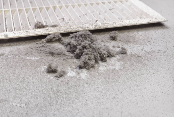 Best Air Vent Cleaning Services  in Wixom, MI