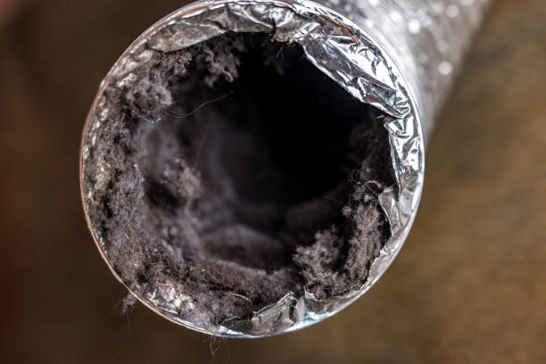 Best Air Duct Cleaning Near Me  in Wixom, MI