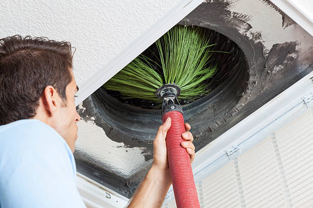 Best Affordable Air Duct Cleaning  in Wixom, MI